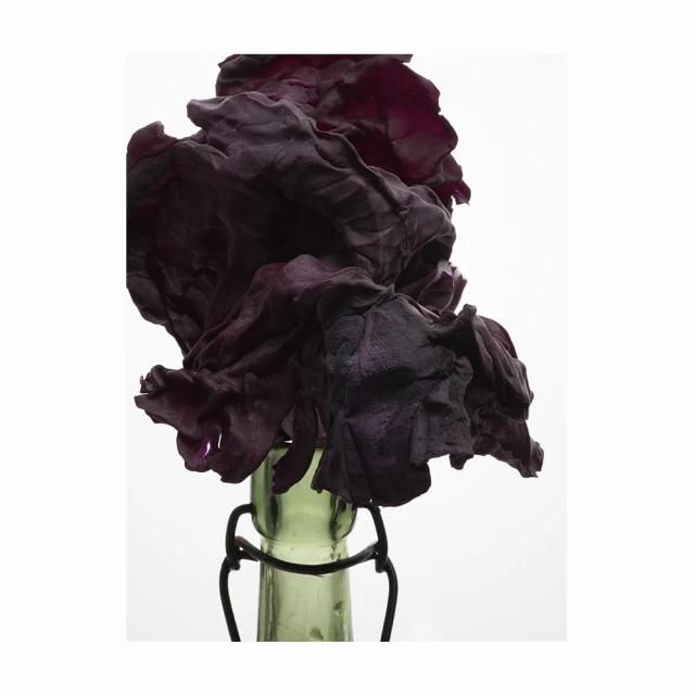 Bérengère Valognes