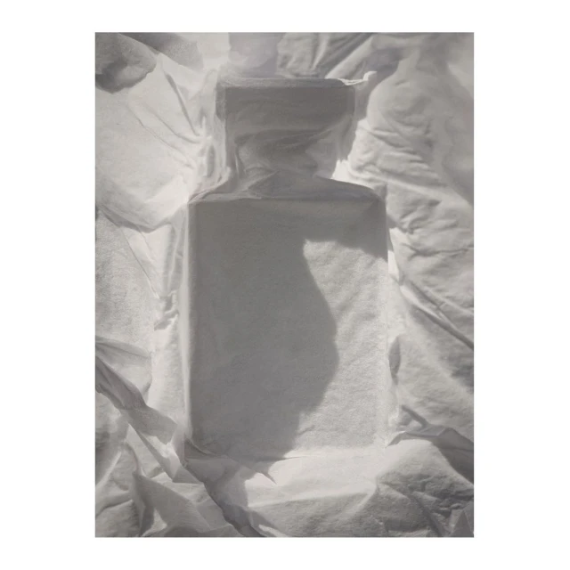 Bérengère Valognes