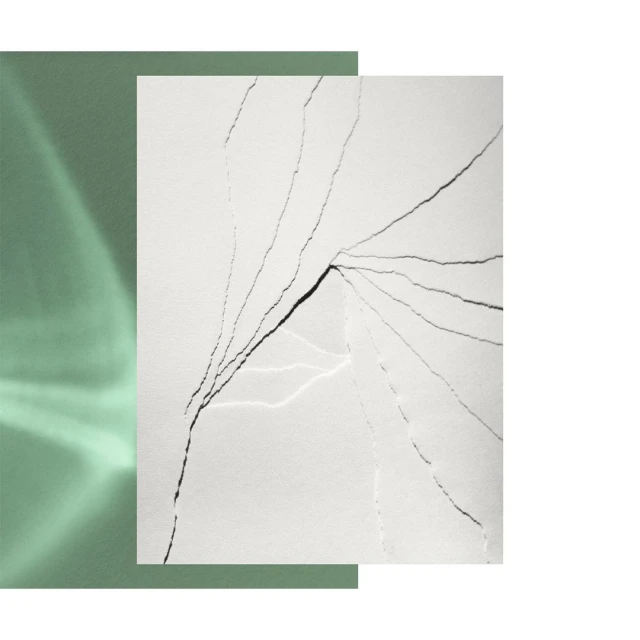 Bérengère Valognes