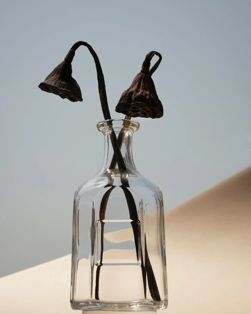 Bérengère Valognes