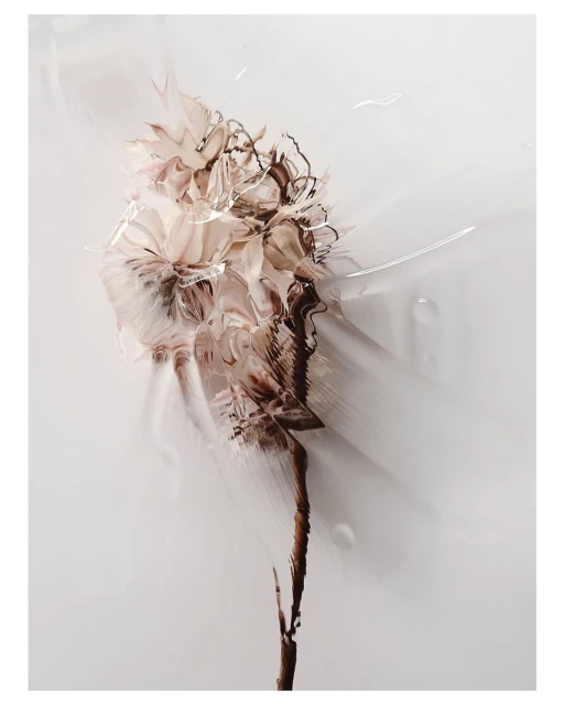 Bérengère Valognes