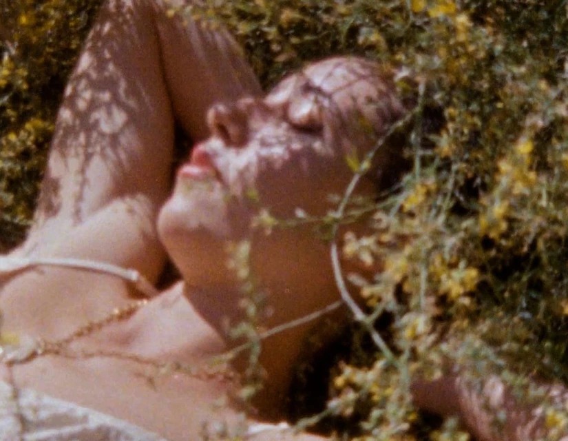 Elizabeth Pojé + Associates