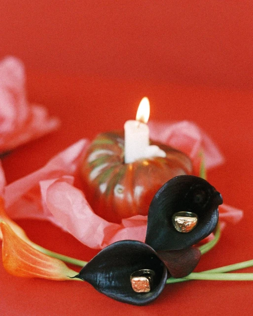 Elizabeth Pojé + Associates