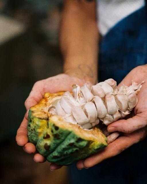 Elizabeth Pojé + Associates