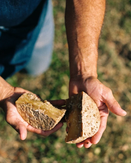 Elizabeth Pojé + Associates