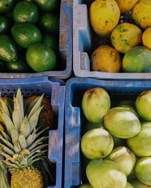 Elizabeth Pojé + Associates