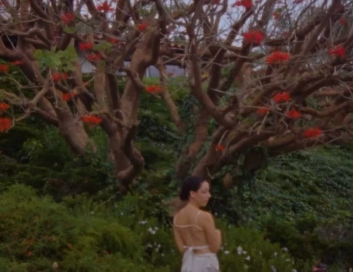 Elizabeth Pojé + Associates