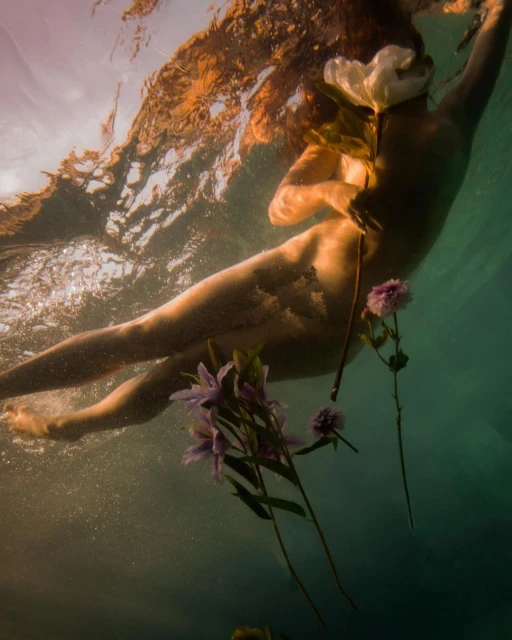 Camille Robiou Du Pont