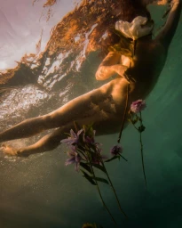 Camille Robiou Du Pont