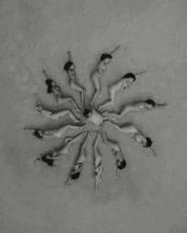 Camille Robiou Du Pont