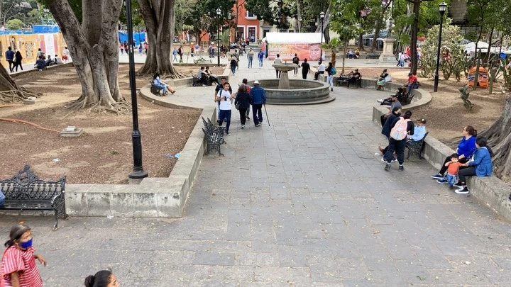 Ginsburg & Associates