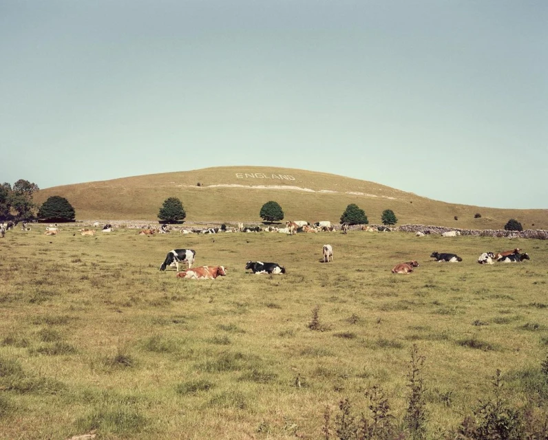 Wyatt-Clarke & Jones