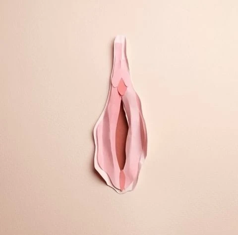 Wyatt-Clarke & Jones