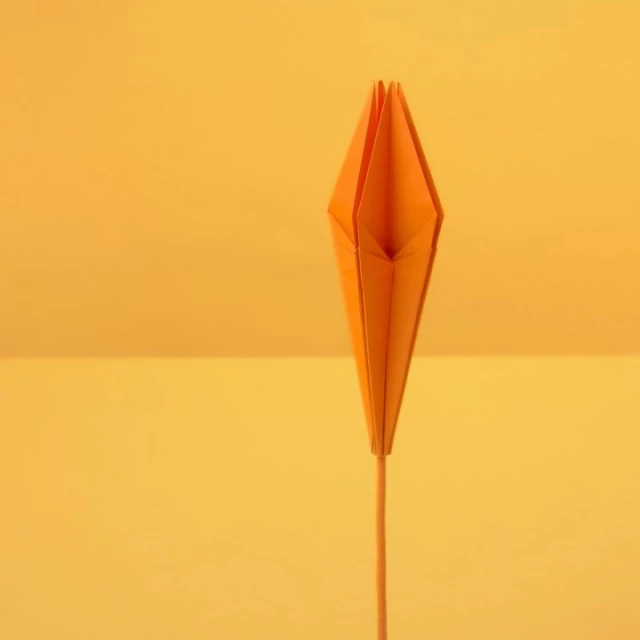 Wyatt-Clarke & Jones