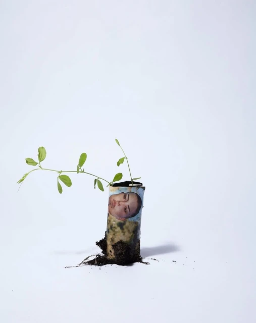 Wyatt-Clarke & Jones