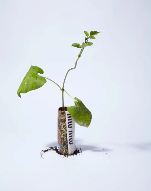 Wyatt-Clarke & Jones