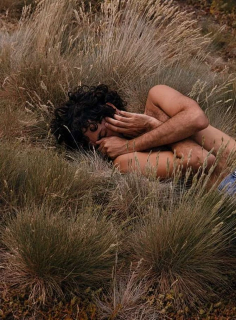 Laird and Good Company