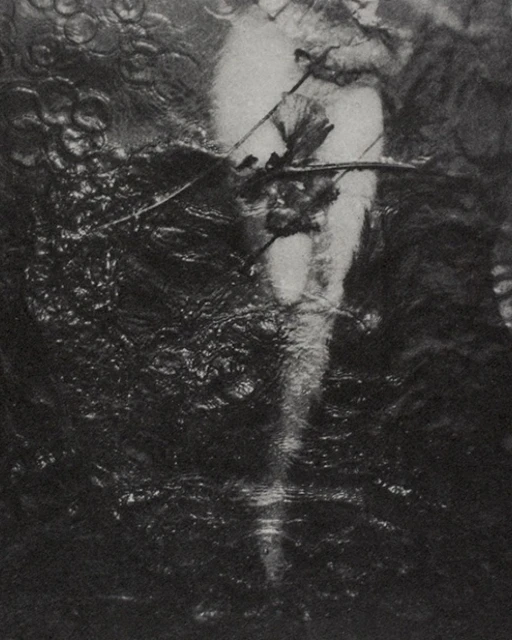 Chantal Elisabeth Ariens