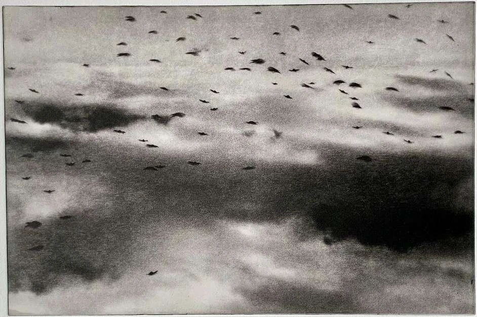 Chantal Elisabeth Ariens