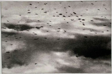 Chantal Elisabeth Ariens