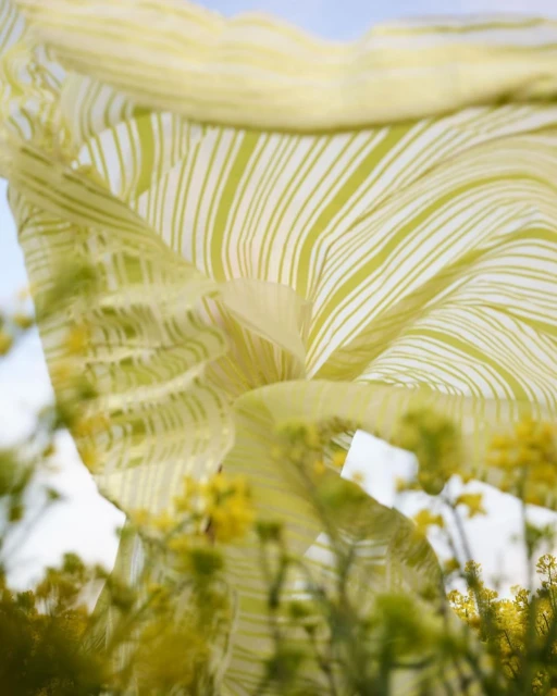 Rockenfeller & Göbels