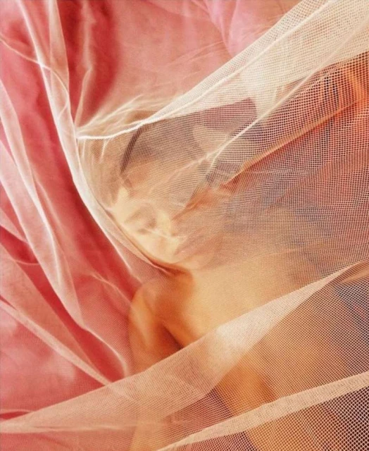 Christopher Anderson