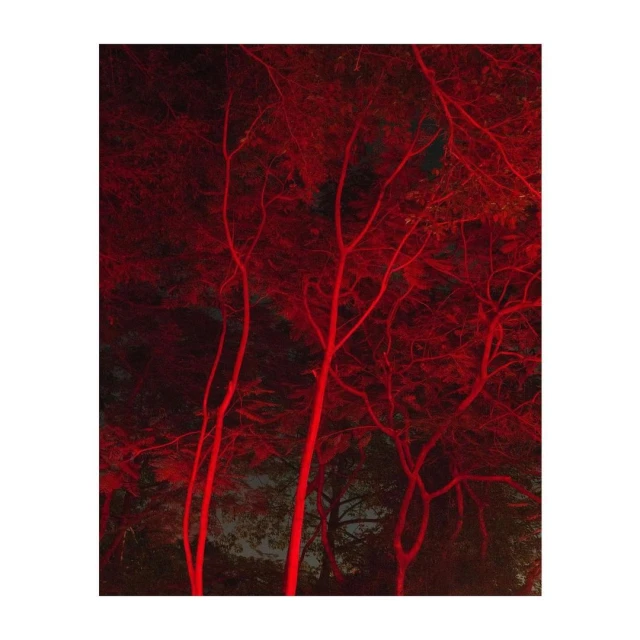 Christopher Anderson