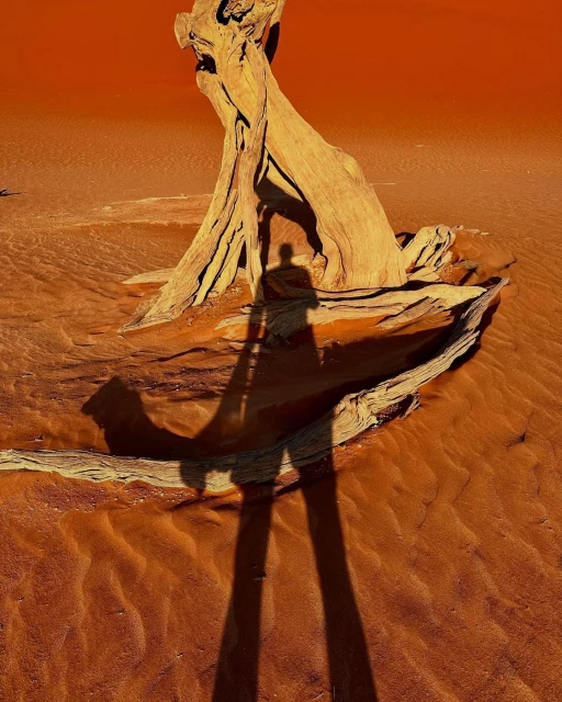 Christopher Anderson