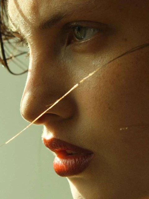 Christopher Anderson