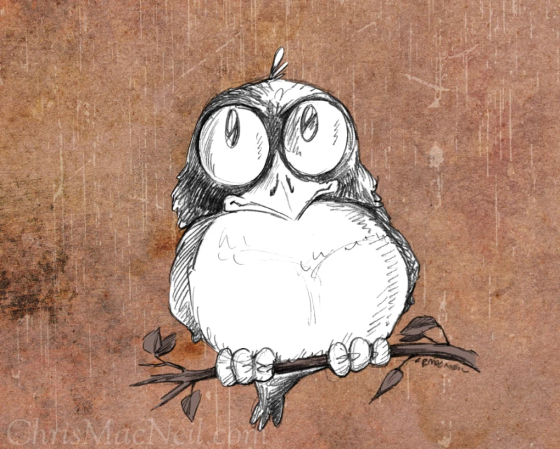 Salzman International