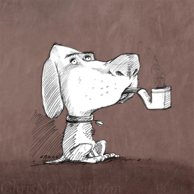 Salzman International