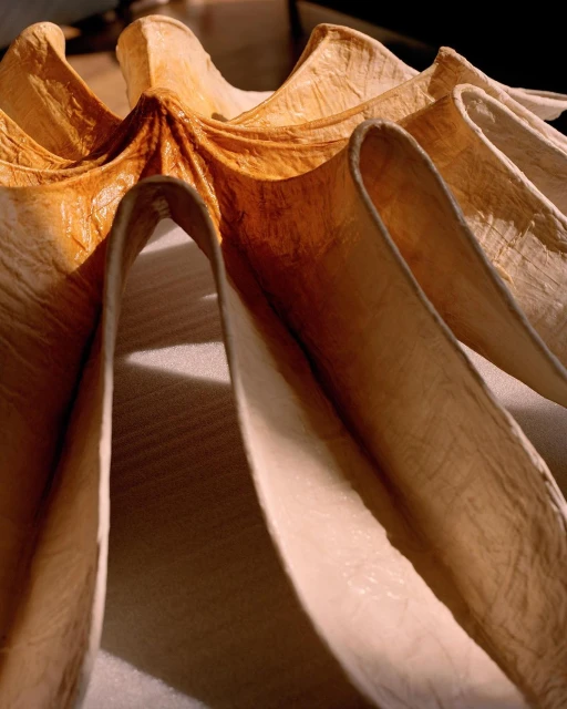 Wyatt-Clarke & Jones