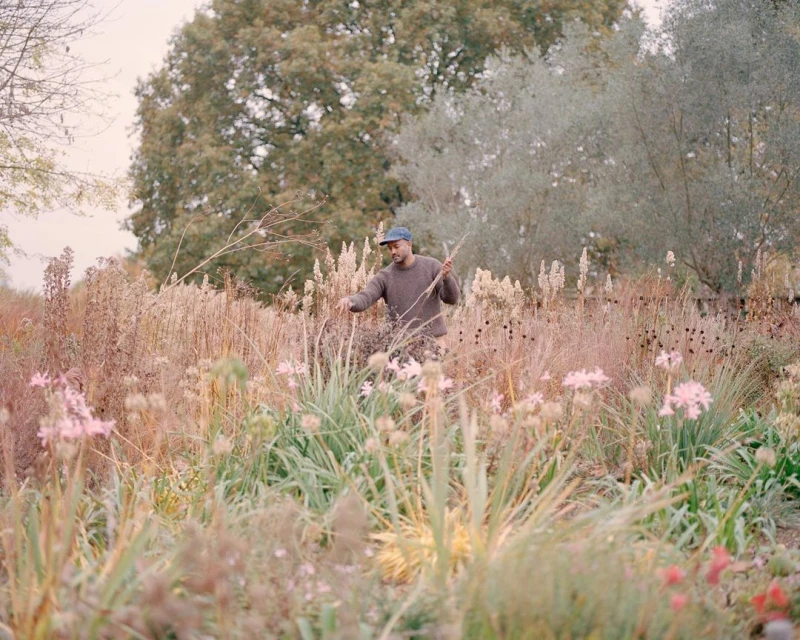 Wyatt-Clarke & Jones