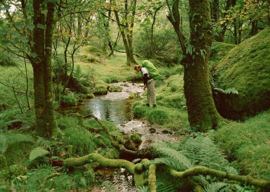 Wyatt-Clarke & Jones