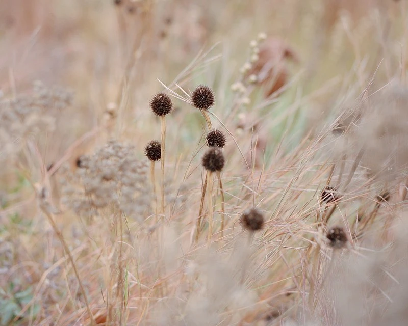 Wyatt-Clarke & Jones