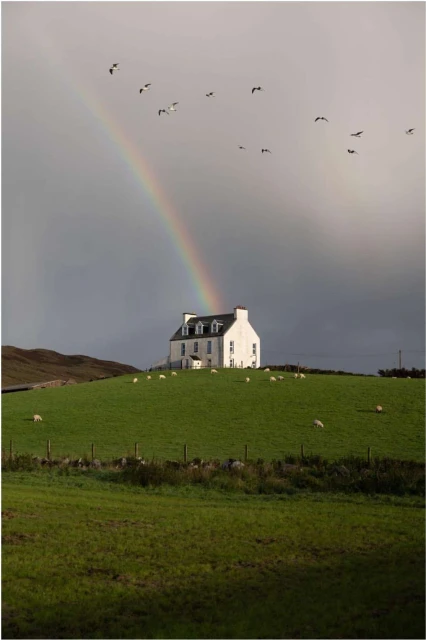 Laird and Good Company