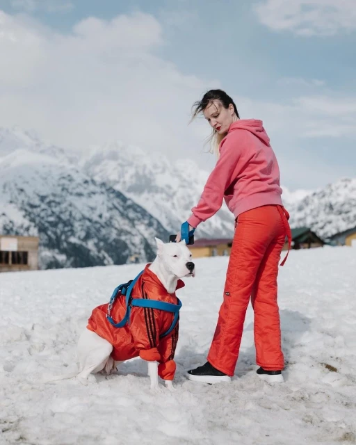 Laird and Good Company