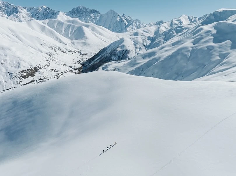 Laird and Good Company