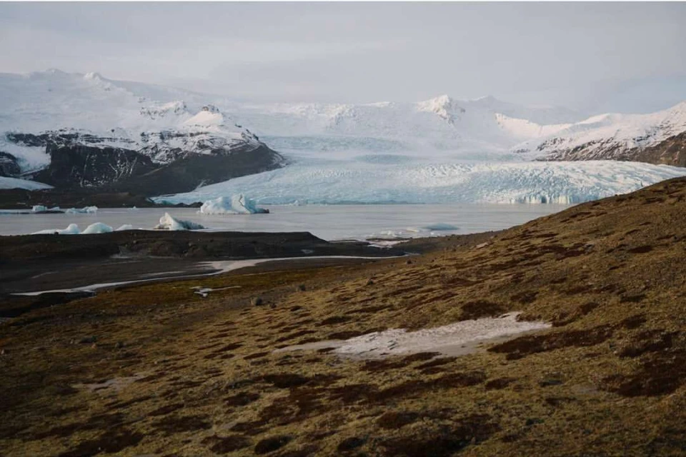 Laird and Good Company