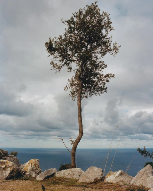 Creative Exchange Agency