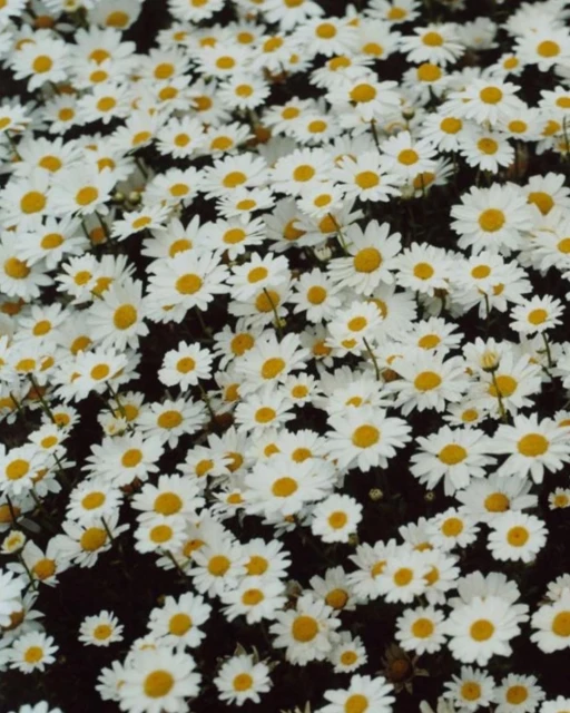 Creative Exchange Agency