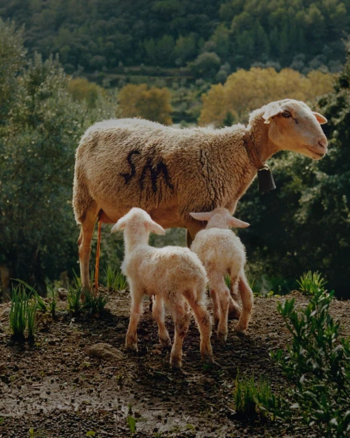 Creative Exchange Agency