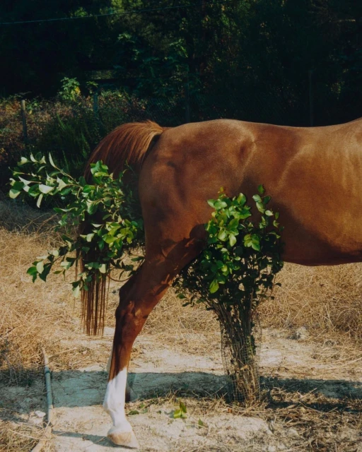 Creative Exchange Agency