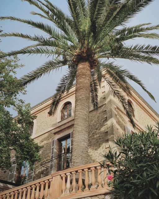 Creative Exchange Agency