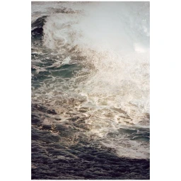 Cyrille De Vignemont