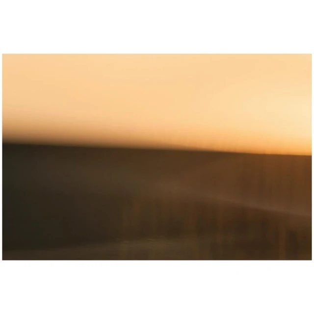 Cyrille De Vignemont