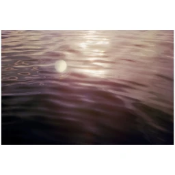 Cyrille De Vignemont