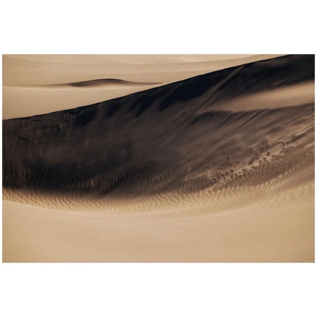 Cyrille De Vignemont