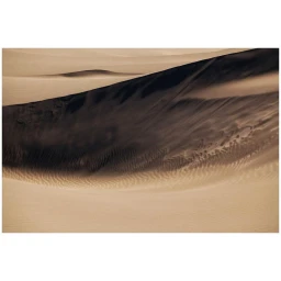 Cyrille De Vignemont