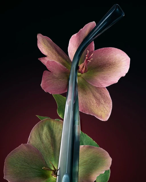 Daniel Jordán Pompa